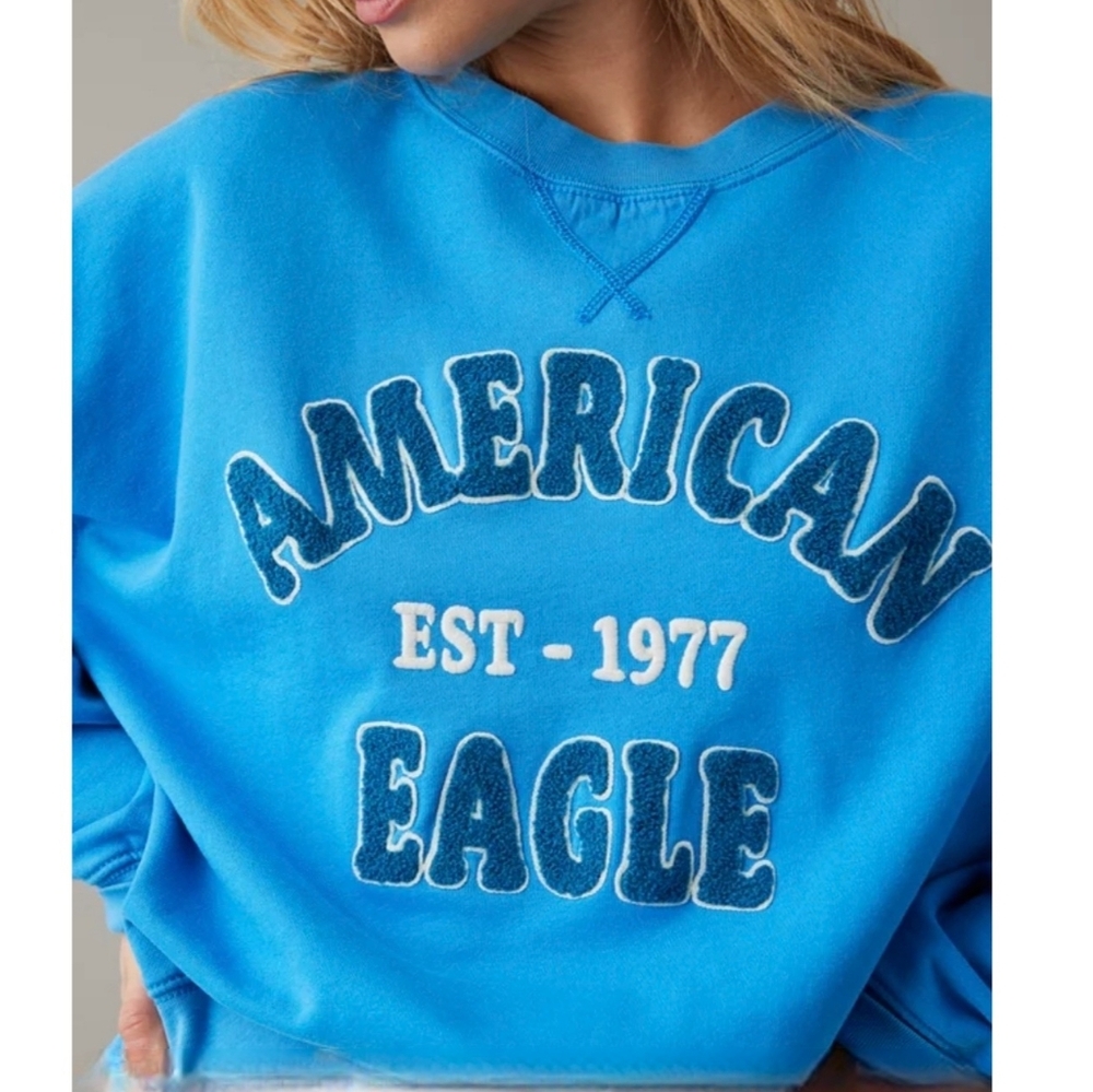 American Eagle Funday Graphic Sweatshirt
